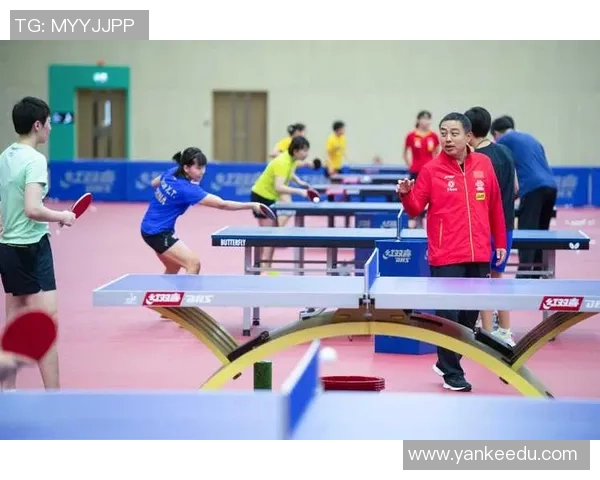 南京乒乓球队逆袭之旅精英赛特别报道展现拼搏精神与团队力量 南京乒乓球队逆袭之旅精英赛特别报道展现拼搏精神与团队力量