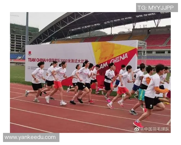 杭州羽毛球队在城市联赛中的速度优势与战术分析